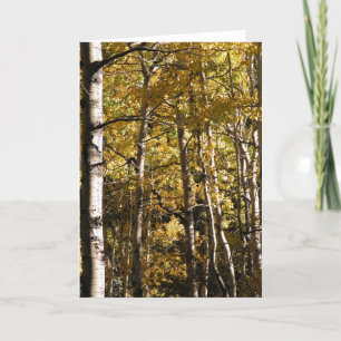 Carte Aspen Gold