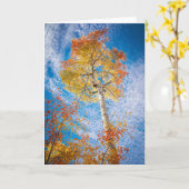 Carte Aspen, Vierge à l'intérieur (Fleur jaune)