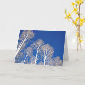 Carte Aspens en hiver (Fleur jaune)