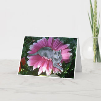 Carte Assez dans le rose