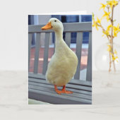 Carte "ASSIS DUCK" dit ***VOUS MANQUEZ*** BOO HOO (Fleur jaune)