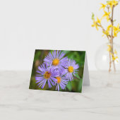 Carte Aster de la Nouvelle Angleterre (Fleur jaune)