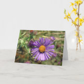 Carte Aster pourpre (Fleur jaune)
