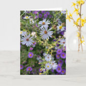 Carte Asters (Fleur jaune)