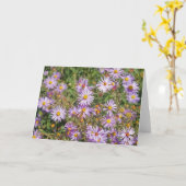 Carte Asters sauvages de Santa Fe (Fleur jaune)