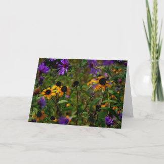 Carte Asters sous verre