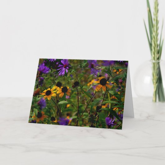 Carte Asters sous verre (Devant)