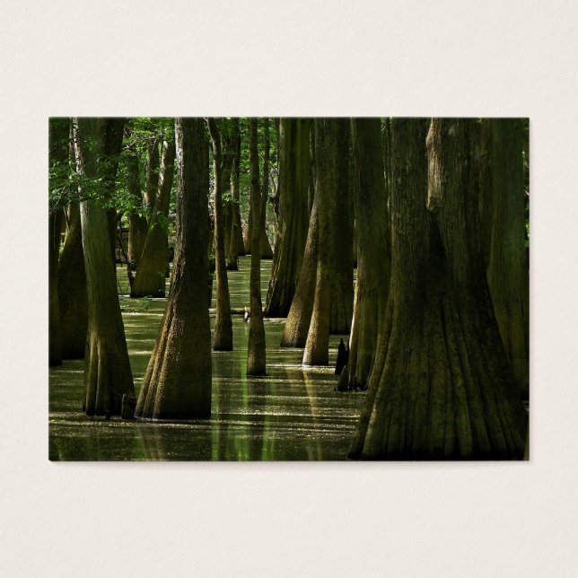 Carte ATC Cypress Swamp (Devant)