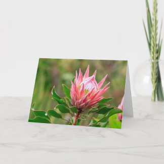 Carte Atteindre pour le ciel