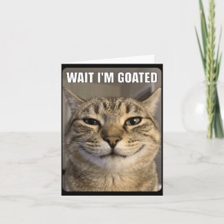 Carte Attendez le chat goûté drôle stupide qui fixe le c