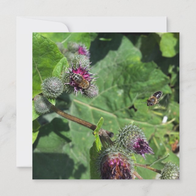 Carte attends-moi (Devant)