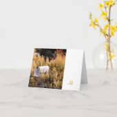 Carte Attente du courrier (Fleur jaune)