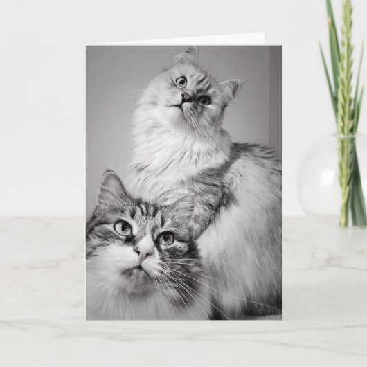 Carte Attente patiente pour le gâteau (anniversaire de c (Devant)