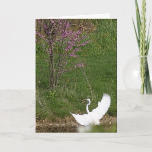 Carte Atterrissage doux (Devant)