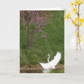 Carte Atterrissage doux (Fleur jaune)