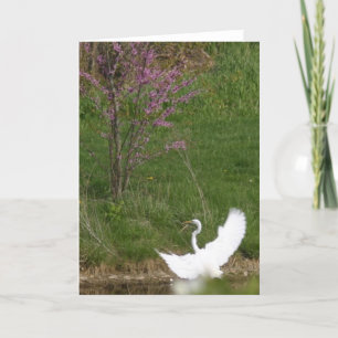 Carte Atterrissage doux