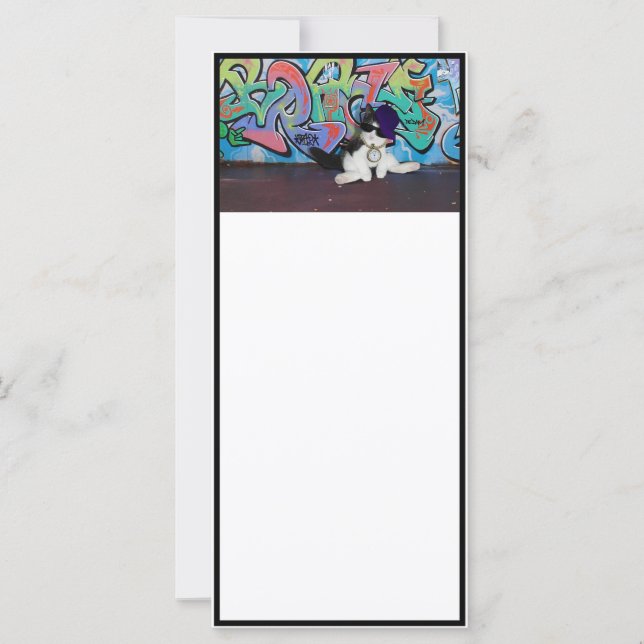 Carte Attitude de chat.....Kitten et mur de graffitis (Devant)