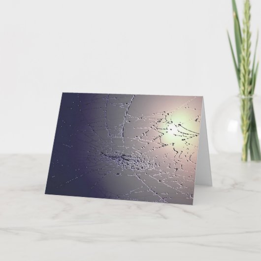 Carte Attrapé ! (Devant)