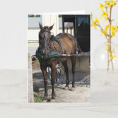 Carte Au courrier s'accrochant (Fleur jaune)