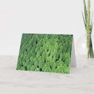 Carte Au-dessus de la forêt