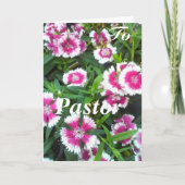 Carte Au Pasteur, Femme (Devant)