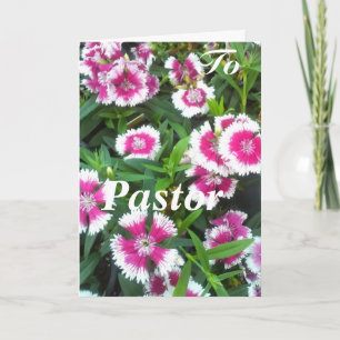 Carte Au Pasteur, Femme