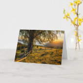 Carte Aube brumeuse dans une forêt (Fleur jaune)