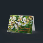 Carte Aubépine ensoleillée de ressort de petite-fille<br><div class="desc">Série florale : Une belle et sensible photo d'un brin d'aubépine,  plein de la fleur de ressort. 
Dans la langue des fleurs,  l'aubépine représente l'espoir. 



code d'image : hrflo29</div>