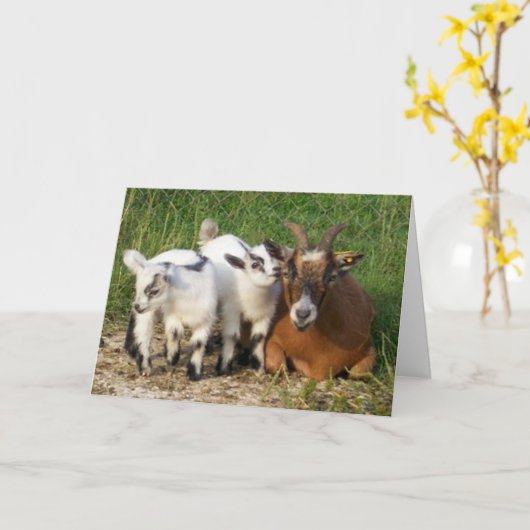 CARTE AUCUN ANNIVERSAIRE HEUREUX (Fleur jaune)