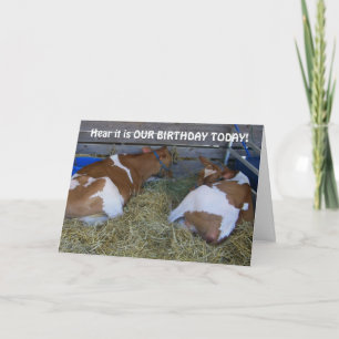 CARTE AUCUN ANNIVERSAIRE MOO-A DE PARTAGE DE COUP D'ÉTAT