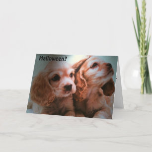 CARTE AUCUN COSTUME NÉCESSAIRE=HALLOWEEN