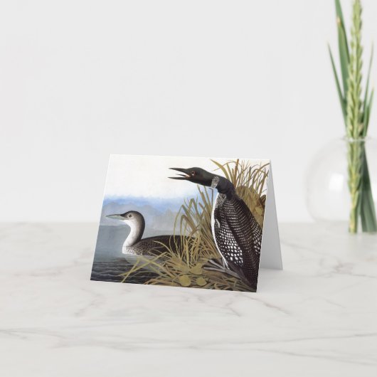Carte Audubon : Dingue commun (Devant)