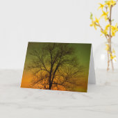 Carte Aurora Borealis & Cottonwood Tree (Fleur jaune)