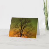 Carte Aurora Borealis & Cottonwood Tree (Devant)