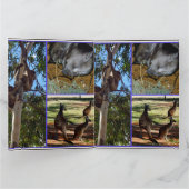 Carte Aussie Annals Photo Collage, (Intérieur)