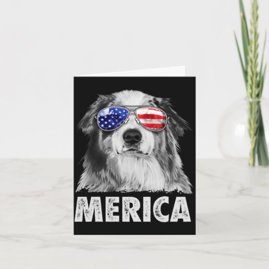 Carte Aussie australian shepherd 4 juillet merica (Devant)