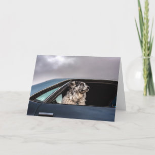 Carte Aussie dog card