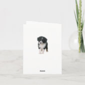 Carte Aussie Shepherd Aussie Puppy Dog Hello Love (Dos)