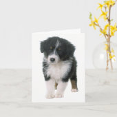 Carte Aussie Shepherd Aussie Puppy Dog Hello Love (Fleur jaune)