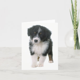 Carte Aussie Shepherd Aussie Puppy Dog Hello Love