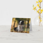 Carte Aussie Shepherd Aussie Puppy Dog Hello Love (Fleur jaune)