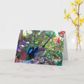Carte Australian bird, Superb Fairy Wren. (Fleur jaune)