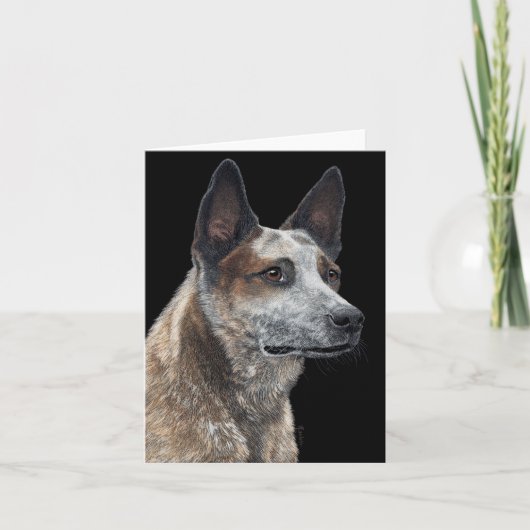 Carte Australian Cattle Dog - "Jack" (Devant)