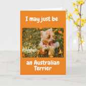 Carte AUSTRALIAN SHEPARD DIT "HEUREUX 60ème" (Fleur jaune)