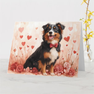 Carte Australian Shepherd avec des Roses - Saint-Valenti