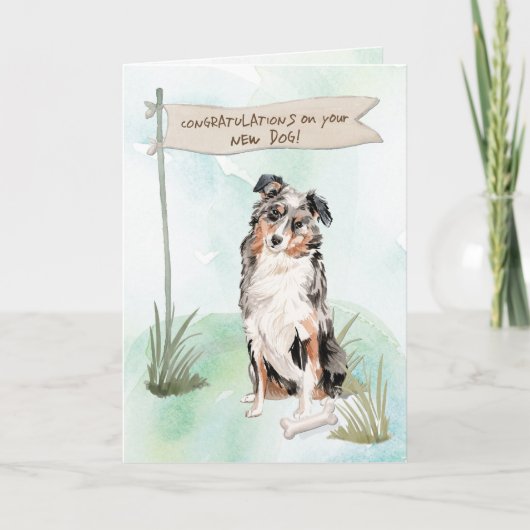Carte Australian Shepherd Félicitations pour le nouveau (Devant)