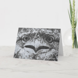 Carte Australian Wildlife, Nature's Curmudgeon, Animal