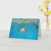 Carte Australie, Queensland, îles Whitsunday, (Fleur jaune)