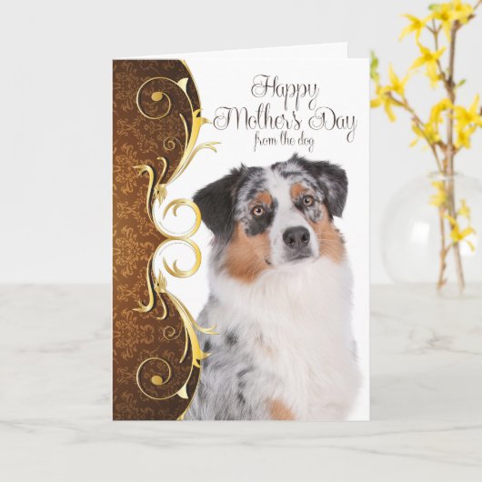 Carte australienne du jour de mère de berger (Fleur jaune)