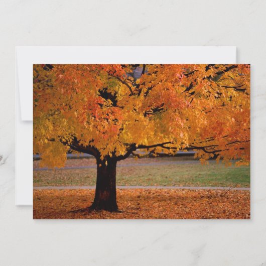 Carte automne 1 (Devant)